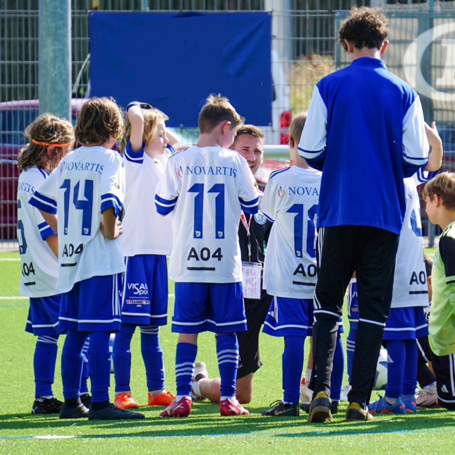 15843829 EC72 4 AA1 BFC2 9066 CCA1551 D